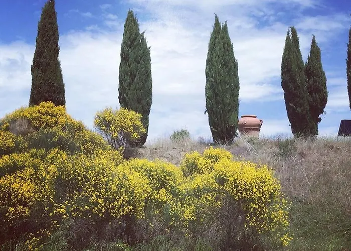 Charming House In + Pool Trequanda