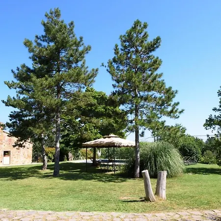 Charming House In + Pool Holiday home